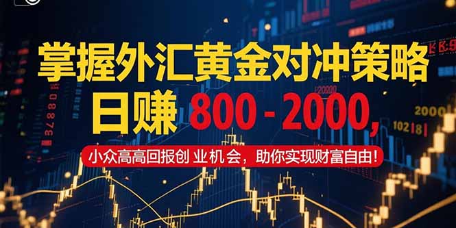 掌握外汇黄金对冲策略，日赚 800 – 2000，小众高回报创业机会，助你实…-轻创网