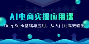 AI电商实操应用课：DeepSeek基础与应用，从入门到高效输出-轻创网
