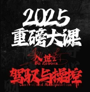 2025重磅大课,入世2,驾驭与控制-轻创网