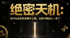 付费文章：绝密天机：如今社会的阶层攀升之路，也就只剩这么一条了-轻创网