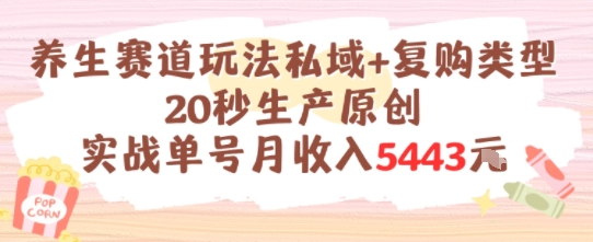 养生赛道玩法私域+复购类型，20秒生产原创实战单号月收入5k+-轻创网