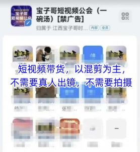 宝子哥头部团队短视频带货，以混剪为主，不需要真人出镜，不需要拍摄【更新6月】-轻创网
