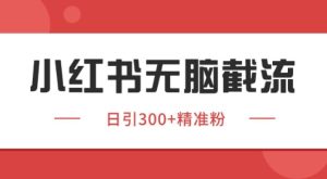 小红书截流同行客源，独家野路子获客玩法 日引200+暴力获客【揭秘】-轻创网