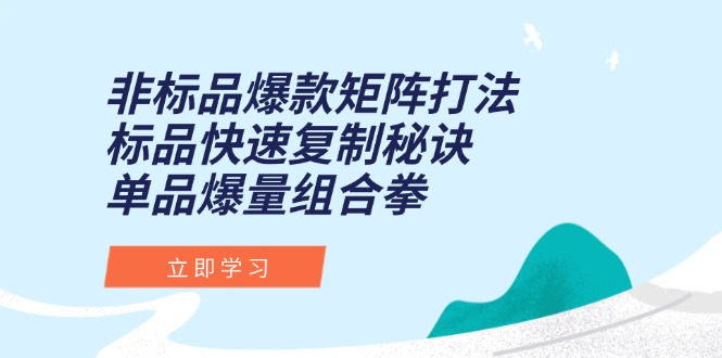 非标品爆款矩阵打法，标品快速复制秘诀，单品爆量组合拳-轻创网