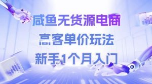 咸鱼无货源电商,高客单价玩法,新手1个月入门-轻创网