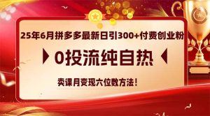 25年6月拼多多最新日引300+付费创业粉，0投流纯自热 卖课月变现六位数方法-轻创网
