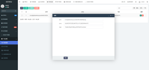 2025款高仿新版假飞机假TG源码/以及搭建教程-轻创网