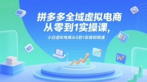 拼多多全域虚拟电商从零到1实操课，小白虚拟电商从0到1实操到精通-轻创网