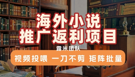 海外小说推广返利项目，视频投喂， 一刀不剪，矩阵批量-轻创网