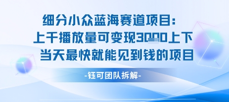 小众蓝海赛道项目：当天变现1k+适合新手操作 +适合长期玩-轻创网