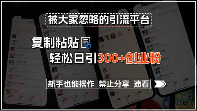 被大家忽略的引流平台，复制粘贴轻松日引300+创业粉，新手也能操作，禁…-轻创网