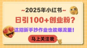 2025年小红书日引100+创业粉？这招新手抄作业也能爆流量！-轻创网