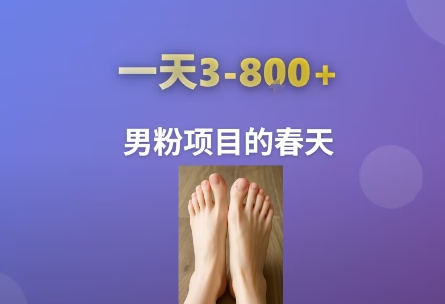 AI一键生成美女素材，一天收益3-8张，男粉项目的春天-轻创网
