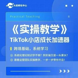 大卖家孵化中心TikTok实操课,TikTok小店成长加速器,跨境基础系统学习,一步一步带你开店-轻创网