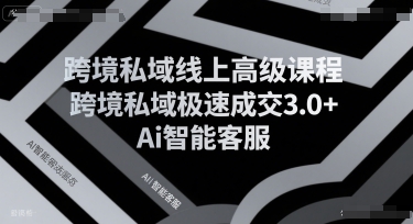 跨境私域线上高级课程，跨境私域极速成交3.0+Ai智能客服-轻创网