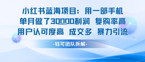 小红书蓝海项目，一部手机单月做了3W利润，小白也能月入过1W用户认可度高成交多-轻创网