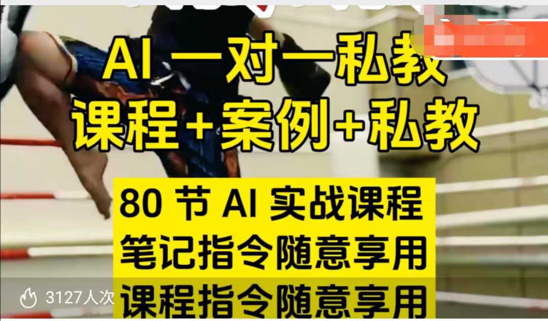 AI指令实战课，课程+案例，80节AI实战课程，笔记指令随意享用，课程指令随意享用(更新7月)-轻创网