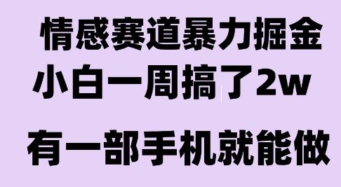 情感暴力掘金项目，新人操作一周挣了2W，长期稳定小白可做【揭秘】-轻创网