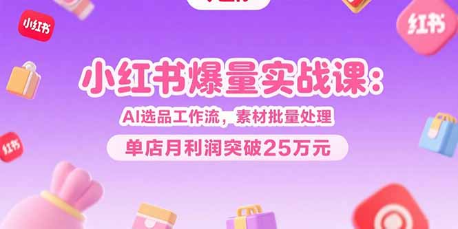 小红书爆量实战课：AI选品工作流，素材批量处理，单店月利润突破25万元-轻创网