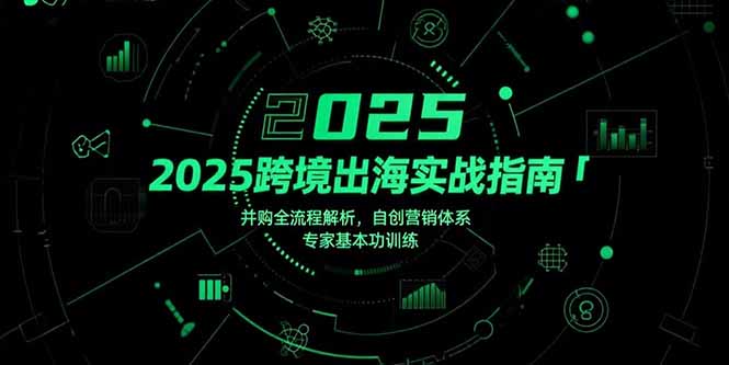 2025跨境出海实战指南，并购全流程解析，自创营销体系，专家基本功训练-轻创网