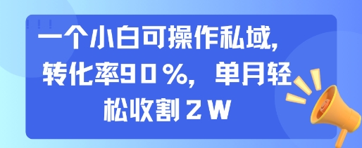 一个小白可操作私域，转化率90%，单月轻松收割2W-轻创网
