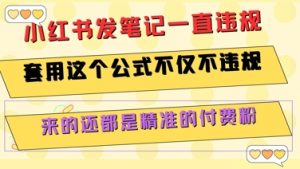 小红书发笔记一直违规，套用这个公式不仅不违规，来的还都是精准的付费粉-轻创网
