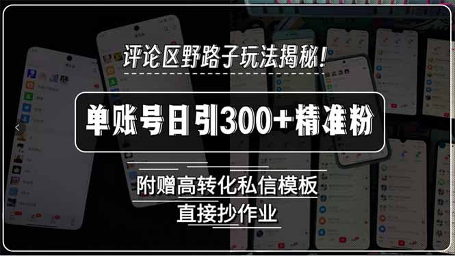评论区野路子玩法揭秘！单账号日引300+精准粉，附赠高转化私信模板，直…-轻创网