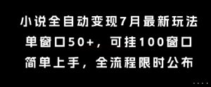 小说全自动变现7月玩法，单窗口50+，可挂100窗口，简单上手，全流程限时公布【揭秘】-轻创网