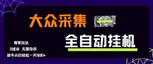 大众采集全自动玩法，新手小白轻松一天5张+，操作简单零成本【揭秘】-轻创网