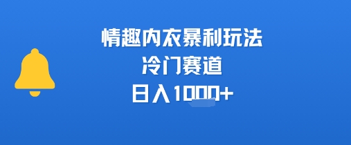 情趣内衣暴利玩法，冷门赛道，日入1k+-轻创网