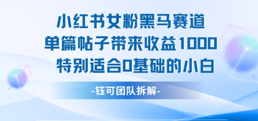 小红书女粉黑马赛道单篇帖子带来收益1k+，特别适合0基础的小白-轻创网
