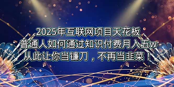 2025年互联网项目天花板，普通人如何通过卖项目实现逆风翻盘，月入5W＋！-轻创网