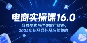 淘宝电商运营课16.0,自然搜索与付费推广攻略,2025年标品非标品运营策略-轻创网