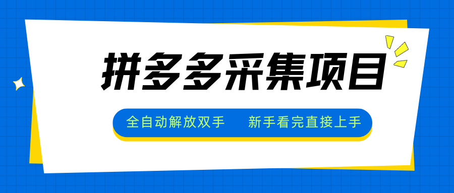 拼多多采集项目，全自动解放双手，单号日入30+-轻创网