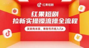 红果短剧拉新实操全流程，发就有米拿，单账号月收入几k-轻创网