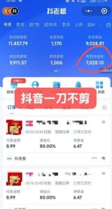 抖音短视频一刀不剪带货，不剪辑，不直播，每天发个视频，等着出单获取带货佣金-轻创网