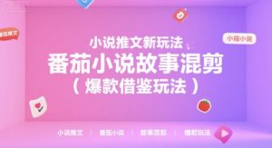 小说推文新玩法，番茄小说故事混剪(爆款借鉴玩法)-轻创网