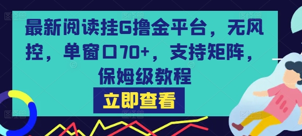 最新阅读挂G撸金平台，无风控，单窗口70+，支持矩阵，保姆级教程【揭秘】-轻创网