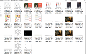『高端精品』最新公主号无水印下载工具，图片 视频 音频 无脑小白一键下载-轻创网