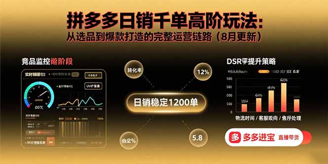 拼多多日销千单高阶玩法：从选品到爆款打造的完整运营链路(8月更新-轻创网