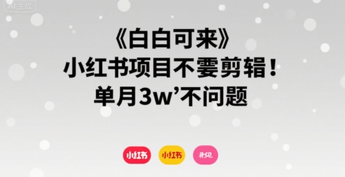 小白可来 小红书项目不需要剪辑 单月3w不是问题-轻创网