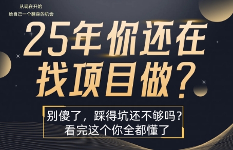 25年，你还在疯狂的找项目吗？别傻了，看完这个你都懂了【揭秘】-轻创网