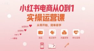 小红书电商从0到1实操运营课，从零开始，简单易学-轻创网