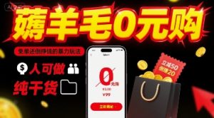 薅羊毛0元购，免单还倒挣钱的暴力玩法，人人可做，纯干货-轻创网