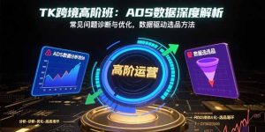 TK跨境高阶班：ADS数据深度解析，常见问题诊断与优化，数据驱动选品方法-轻创网