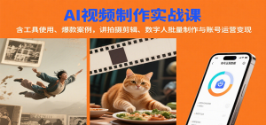 AI视频制作实战:含工具使用、爆款案例,讲拍摄剪辑、数字人批量制作与账号运营变现-轻创网