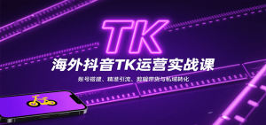 海外抖音TK运营实战课：账号搭建、精准引流、剪辑带货与私域转化-轻创网
