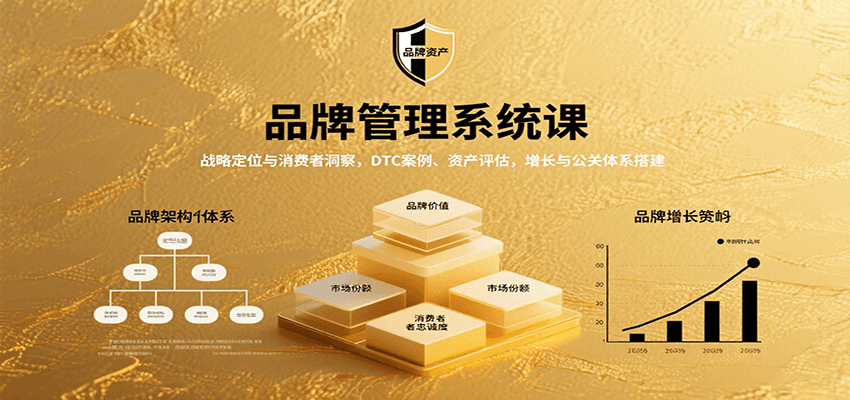 图片[1]-品牌管理系统课：战略定位与消费者洞察，DTC案例、资产评估，增长与公关体系搭建-轻创网