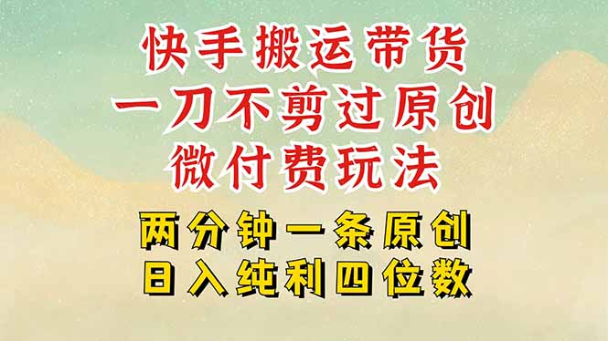 快手黑科技搬运带货，一刀不剪过原创，微付费投流玩法，轻松日入四位数…-轻创网