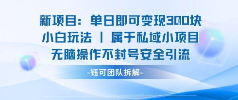 新项目单日即可变现3张的小白玩法无脑操作不封号安全引流-轻创网